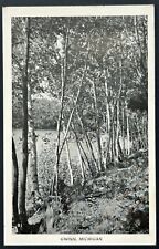 Gwinn Michigan Vintage Postcard. MI. Nature Trees picture