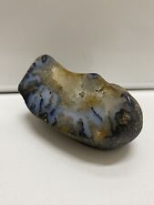 POLISHED BLUE FOREST PETRIFIED WOOD AGATE - WYOMING picture