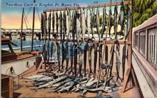 Postcard Two-Hour Catch Of Kingfish, Fort. Myers, Florida FL picture