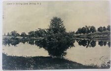 Vintage Stirling New Jersey NJ RPPC Island In Stirling Lake Postcard 1909 picture