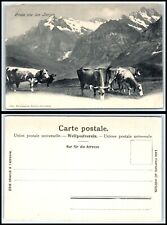 SWITZERLAND Postcard - Gruss Aus den Bergen DE picture