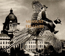 C.1950 RPPC PIERRE SD MAN FLYING PHEASANT STATE CAPITOL  MILLER Postcard P45 picture