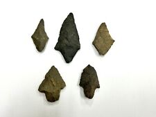 Native American Projectile Points, Lot Of 5 Various Point Types, Arkansas Area picture