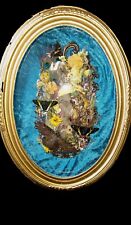 Real Taxidermy Display Of Real Moths Sunset, Uranian, Black Witch, Comet Moths  picture
