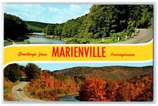 c1960 Greetings From Scenic Beauty Marienville Pennsylvania PA Vintage Postcard picture