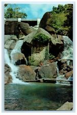 View Of Sungei Penang Bridge Waterfalls Penang Malaysia Vintage Postcard picture