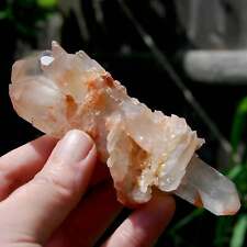 4.5in 124g Unique DT ET Crowned Scepter Tabby Pink Shadow Smoky Lemurian Crystal picture