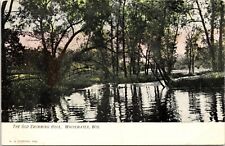 C.1910s Whitewater WI The Old Swimming Hole Unused Wisconsin Postcard  A112 picture