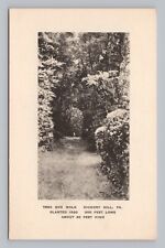 Postcard The Box Walk Hickory Hill Virginia Albertype Sepia Card picture