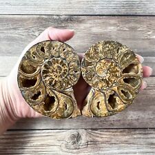 Ammonite Fossil Pair with Calcite Chambers 252g, Polished picture