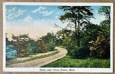 Scene near Three Rivers Michigan MI. 1916 Vintage Postcard picture