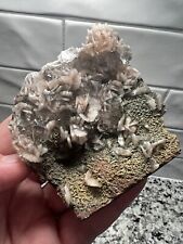 STUNNING APOPHYLLITE AND STILBITE CRYSTALS ON HEMATITE WITH CHLORITE. NEW FIND. picture