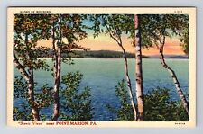 Port Marion PA-Pennsylvania, Scenic Lake Views, Souvenir Vintage Postcard picture