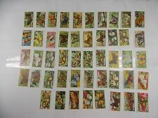 Gallaher Cigarette Cards Butterflies & Moths 1938 Complete Set 48 picture
