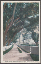 Ray's Court Through the Willows at Nantucket MA postcard ca 1915 picture