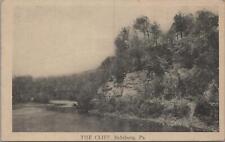 Postcard The Cliff Saltsburg PA  picture