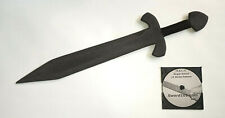 Sword Training Medievil Bringer of the Storm Practice FMA Martial Arts Video picture