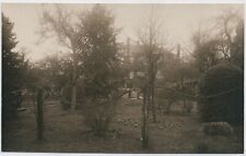 Mansion w/ Grape? Vines in Front , RPPC, Postcard, Divided Back, Unposted picture
