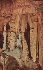 Postcard VA Luray Caverns Virginia Giants Hall Unposted Vintage PC H6012 picture