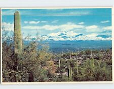 Postcard Snow Covered Four Peaks Arizona USA picture
