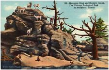 C.1940s Chicago, IL Brookfield Zoo Mountain Goat & Monkey Island Postcard picture
