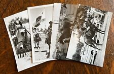 Arabian Stallion Vintage Kodak Photo Postcard Lot C (4 Postcards) picture