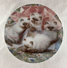 ALL WRAPPED UP:  HIMALAYANS Plate Amy Brackenbury's Cat Tales Collection #6 picture