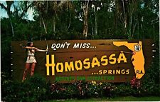 Homosassa Springs Tampa Bay Area Florida FL Unposted C1950 Vintage Postcard picture
