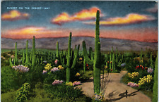 STUNNING DESERT CACTUS SUNSET VIEW 1930/40s POSTCARD VINTAGE FLORAL   A7 picture