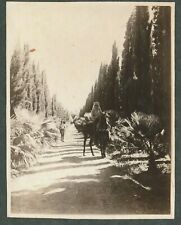   PALESTINE, ABOUT 1930,  , A VINTAGE  PHOTO,  15 CMX 12 CM, PAPER FRAMED  picture