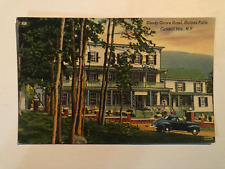 HAINES FALLS CATSKILL MTNS NEW YORK NY SHADY GROVE HOTEL UNUSED LINEN POSTCARD picture