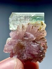 34 CT Bicolour Terminated Tourmaline Crystal Combine Lepidolite From Afghanistan picture