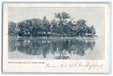 1904 Farley's Cayuga Lake (Union Springs) New York NY Antique Postcard picture