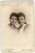 CIRCA 1890'S CABINET CARD Beautiful Affectionate Sisters Pollen Mansfield, OH picture