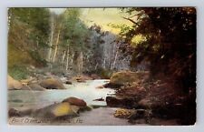 Johnstown PA-Pennsylvania, Paint Creek, Vintage Postcard picture