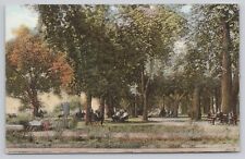 Park Along Susquehanna River Harrisburg Pennsylvania Vintage Postcard picture