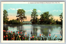 c1930s Lagoon Rustic Bridge Penninsula Drive Erie Pennsylvania Vintage Postcard picture