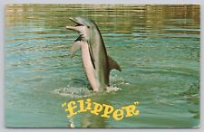 Postcard Flipper Dolphin Miami Seaquarium FL TV picture