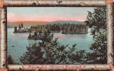 Raquette Lake Adirondack Mountains NY New York Log Frame c1909 Vtg Postcard O1 picture