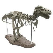 4D Dinosaur  Assembly DIY Collector Skeleton Statue Educational  picture