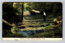 Epworth IA-Iowa, Spring At Cedar Hollow Vintage Souvenir Postcard picture