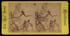 c.1860s Creepy Taxidermy Spider Monkeys - Stereoview Monkey BEST SERIES picture
