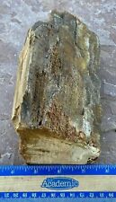 4.2 Lb Petrified Fossil Wood-Natural Wedge Shaped-Tons Of Druzy W/Great Color picture