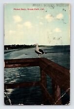 Postcard California Ocean Park CA Sea Gull Santa Monica Bird 1915 Posted picture
