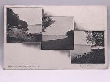 Postcard Cazenovia New York Lake Owahegena 1910 picture