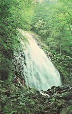 Micaville Asheville NC Blue Ridge Hwy Crabtree Falls Campground Vtg Postcard D64 picture