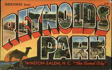 Winston Salem North Carolina Reynolds Park Large Letter multiview 1943 postcard picture