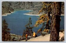 Omak Lake Washington WA Vintage Postcard Union Oil 76 Advertising View picture