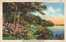 Moodus CT Connecticut, Greetings, Scenic View, Flowers Lake, Vintage Postcard picture