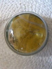 VINTAGE HISTORICAL PAPERWEIGHT Fort William Henry - Lake George, New York #9 picture